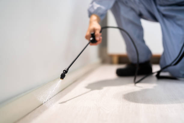 Licensed Rodent Control service in Shoemakersville, PA - Nex Pest Control