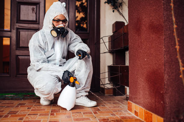 Reliable Rodent Control contractor in Shoemakersville, PA by Nex Pest Control