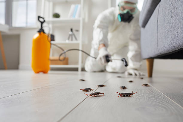 Trusted Rodent Control service in Shoemakersville, PA - Nex Pest Control