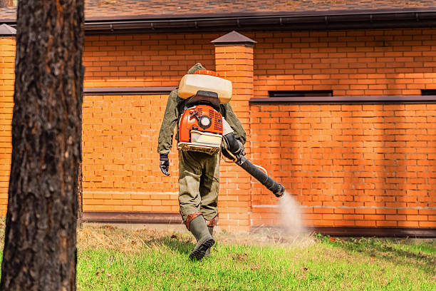 Trusted Termite Control service in Shoemakersville, PA - Nex Pest Control